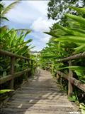 Jardín Botánico de Caguas - CAGUAS